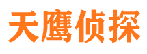 滴道市侦探公司